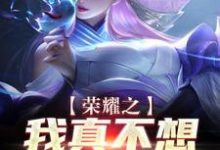 荣耀之我真不想打职业小说，荣耀之我真不想打职业在线阅读-经典文学