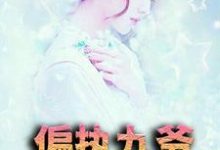 求推荐可以免费阅读偏执九爷放肆宠小说的网站-经典文学