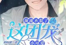 主角叫苏允儿时宴的小说在哪阅读-经典文学