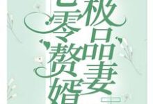 《七零赘婿极品妻》小说章节列表免费试读,白萌萌慕正东小说在线阅读-经典文学