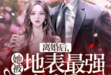 离婚后,她被地表最强首富表白了免费阅读,离婚后,她被地表最强首富表白了余浅战时-经典文学