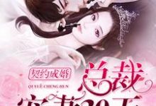 契约成婚,总裁宠妻30天言晚霍黎辰言默林,契约成婚,总裁宠妻30天最新章节-经典文学