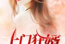 上门狂婿章节免费在线阅读,肖舜姚岑完结版-经典文学