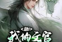 苏云曹操小说在哪里可以看-经典文学