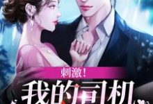 刺激!我的司机是霸总本霸小说,刺激!我的司机是霸总本霸免费阅读-经典文学