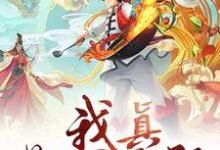 主人公叫陈宗孔如曼的小说哪里免费看-经典文学