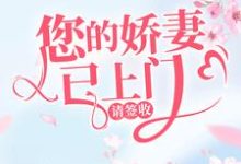 您的娇妻已上门,请签收小说的无弹窗阅读体验,寻找免费阅读网站-经典文学