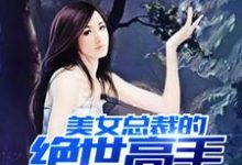 美女总裁的绝世高手叶轩苏晴,美女总裁的绝世高手小说免费阅读-经典文学