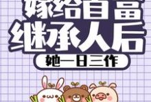 嫁给首富继承人后，她一日三作小说的免费电子版在哪里可以下载或阅读？-经典文学