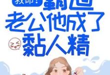 霍湛宁䂀月是哪本书的主角？寻找救命！霸道老公他成了黏人精免费阅读-经典文学