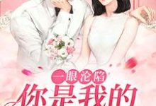 已完结小说《一眼沦陷:你是我的命中注定》章节在线阅读-经典文学