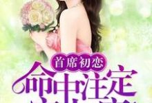 哪里能找到首席初恋：命中注定宠上瘾小说的全部章节？-经典文学