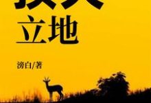小说《顶天立地》章节免费阅读-经典文学