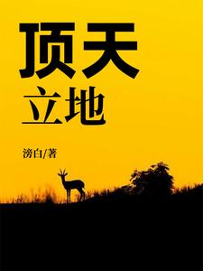小说《顶天立地》章节免费阅读