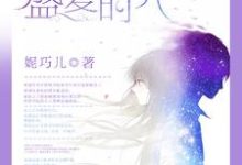 我们的盛夏时光这本小说在哪里可以看？哪里有免费试读章节？-经典文学