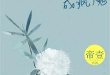 情到深处成疯魔盛夏陆以南程漪在线章节免费阅读-经典文学