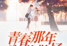 青春那年终将散场小说的无弹窗阅读体验,寻找免费阅读网站-经典文学