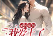 已完结小说《破镜重圆：我爱上了高门之子》在线章节阅读-经典文学