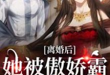 免费看离婚后,她被傲娇霸总宠上天小说的网站有哪些?-经典文学