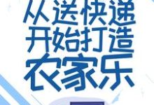 《奶爸:从送快递开始打造农家乐》小说大结局免费试读 林枫林茜茜小说-经典文学