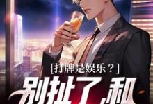 完结版《打牌是娱乐？别扯了，和打仗差不多》章节目录在线阅读-经典文学