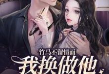 小说《竹马不留情面，我换做他小婶气疯他》章节免费阅读-经典文学