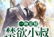 主角姜愿傅砚礼小说一吻定情：禁欲小叔太难撩免费阅读-经典文学