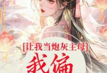 主角叫司微月盛黎昕小说让我当炮灰主母,我偏另谋出路章节免费阅读-经典文学