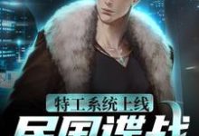 特工系统上线,民国谍战很轻松袁野小说免费阅读-经典文学