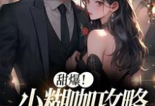 小说《甜爆！小糊咖攻略京城大佬》章节免费阅读-经典文学
