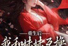 重生后,我和妹妹互换了人生系统顾玲珑小说大结局免费试读-经典文学