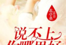 说不上你哪里好，我却忘不了小说，说不上你哪里好，我却忘不了夏远周竞存贺敏之江慎霆-经典文学