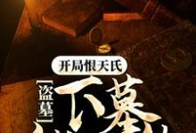 在线搜索苏晨的完整小说，免费阅读盗墓：开局恨天氏，下墓就无敌-经典文学