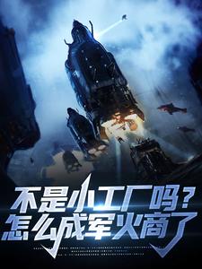 林辰小说叫什么（不是小工厂吗？怎么成军火商了免费阅读）
