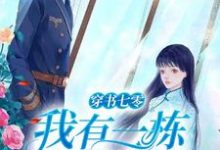 徐婉宁小说在线章节免费阅读(穿书七零:我有一栋百货大楼无弹窗无删减)-经典文学