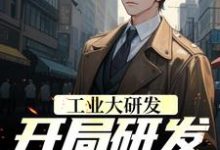 工业大研发：开局研发钢铁战甲免费阅读，工业大研发：开局研发钢铁战甲章节在线阅读-经典文学