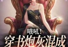 舒悦傅景深为主角的小说哦吼!穿书炮灰混成书中万人迷了在线阅读-经典文学