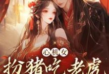 完结版《心机女扮猪吃老虎,诱王爷沦陷》章节目录在线阅读-经典文学