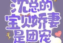 宠婚成瘾:沈总的宝贝娇妻是团宠小说全文哪里可以免费看?-经典文学