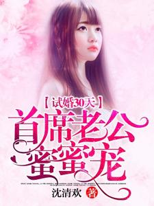 试婚30天：首席老公蜜蜜宠小说，试婚30天：首席老公蜜蜜宠免费阅读