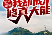 灵气稀薄，我却成修真大能？免费阅读，灵气稀薄，我却成修真大能？章节在线阅读-经典文学