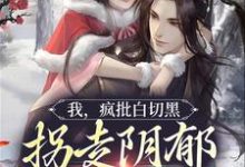 小说《我,疯批白切黑,拐走阴郁反派老公》章节免费阅读-经典文学