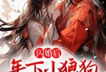 琅斐沈清棠是哪本书的主角?寻找闪婚后,年下小狼狗不装了免费阅读-经典文学