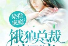 染指成瘾:饿狼总裁宠到底小说全文阅读需要付费吗?寻找免费资源-经典文学