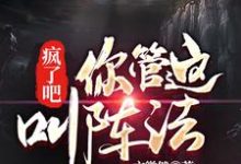 孟楠小说在线章节免费阅读(疯了吧!你管这叫阵法?无弹窗无删减)-经典文学