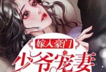 完结版《嫁入豪门:少爷宠妻无节制!》章节阅读-经典文学