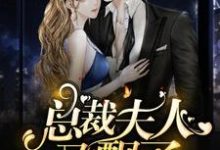 主角叫陆青柠战廷东的小说在哪阅读-经典文学