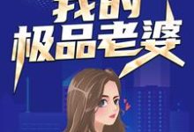 主角叫苏羽白语嫣小说我的极品老婆章节免费阅读-经典文学