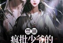 哪里能找到禁锢:疯批少爷的笼中雀又矫又魅小说的最新更新和免费章节?-经典文学