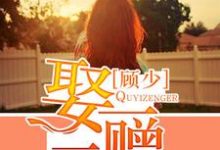 顾少,娶一赠二小说的免费电子版在哪里可以下载或阅读?-经典文学